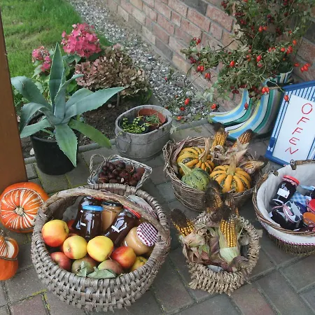 Charming Holiday In With Terrace Rerik